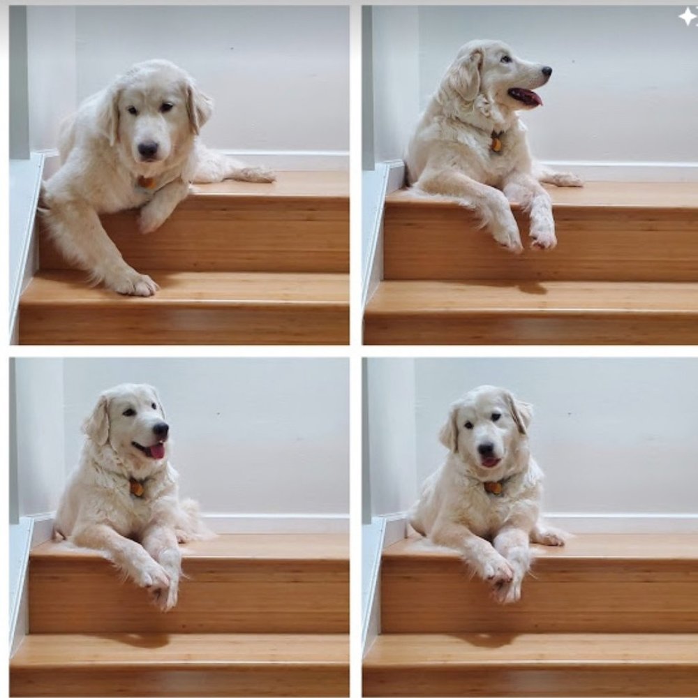 Meet your Posher, C!